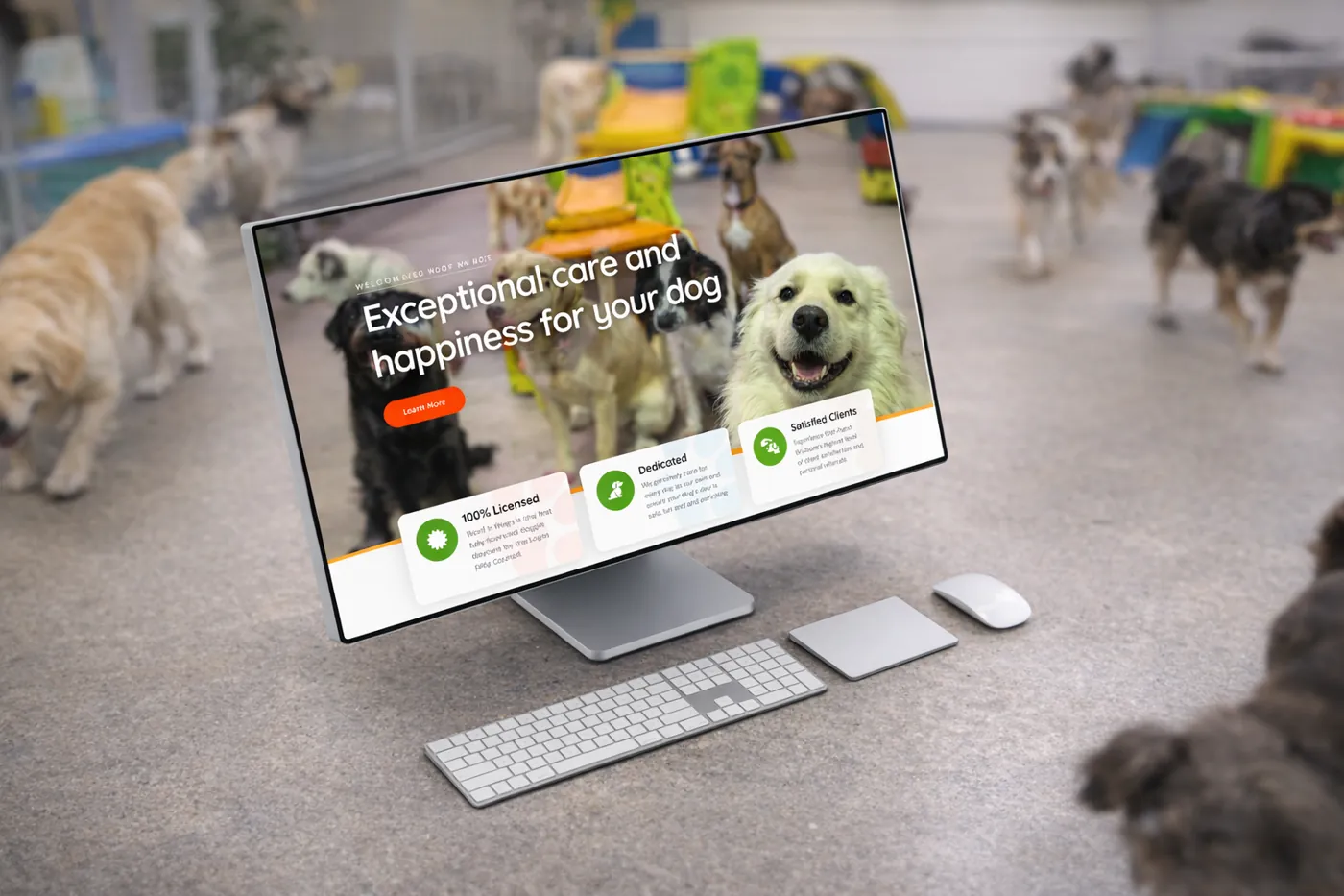 Woof n Wags Doggie Daycare project